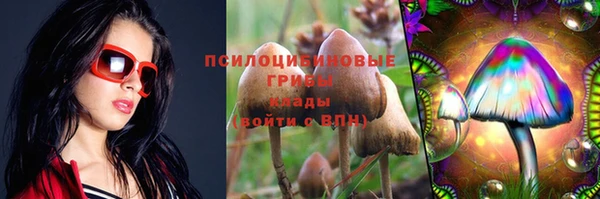 сатива Алексеевка