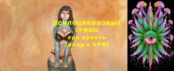 сатива Алексеевка
