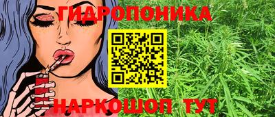 ПСИЛОЦИБИНОВЫЕ ГРИБЫ Кулебаки
