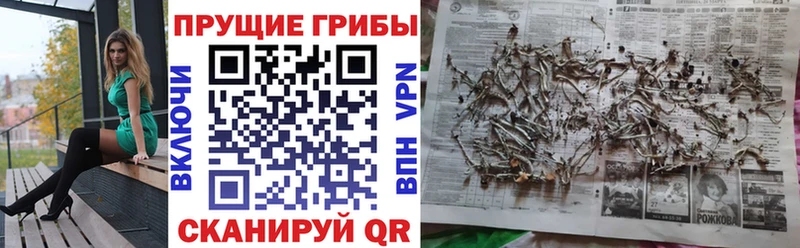OMG маркетплейс  Биробиджан  Галлюциногенные грибы GOLDEN TEACHER 