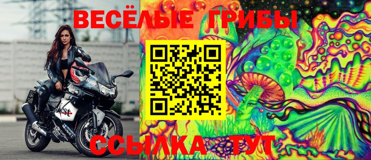 Псилоцибиновые грибы мицелий  Вход с VPN  Биробиджан 