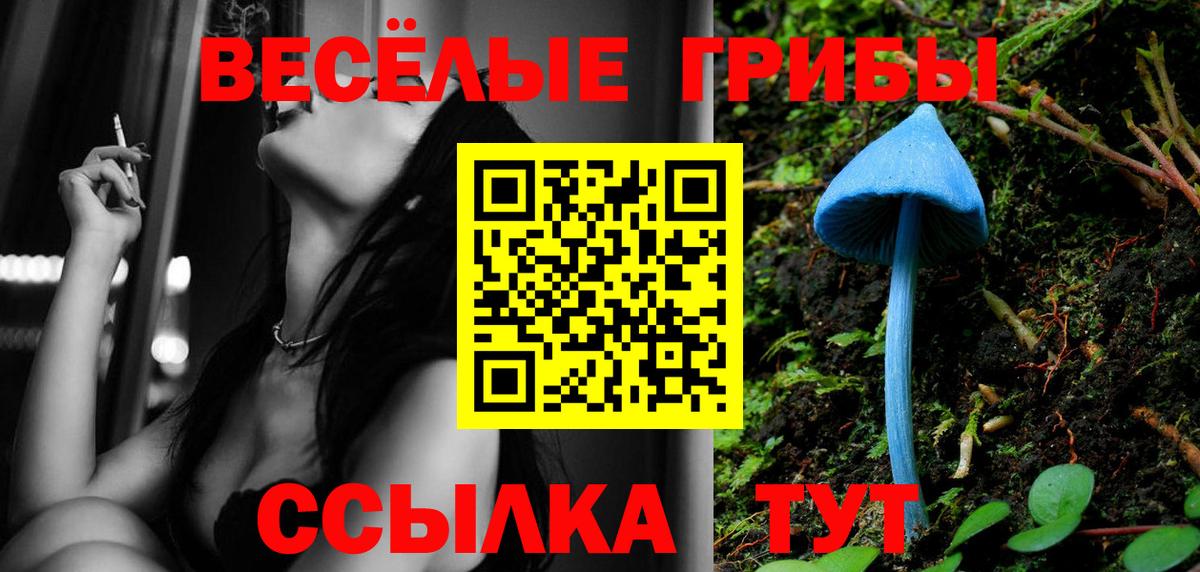 Галлюциногенные грибы ЛСД Биробиджан